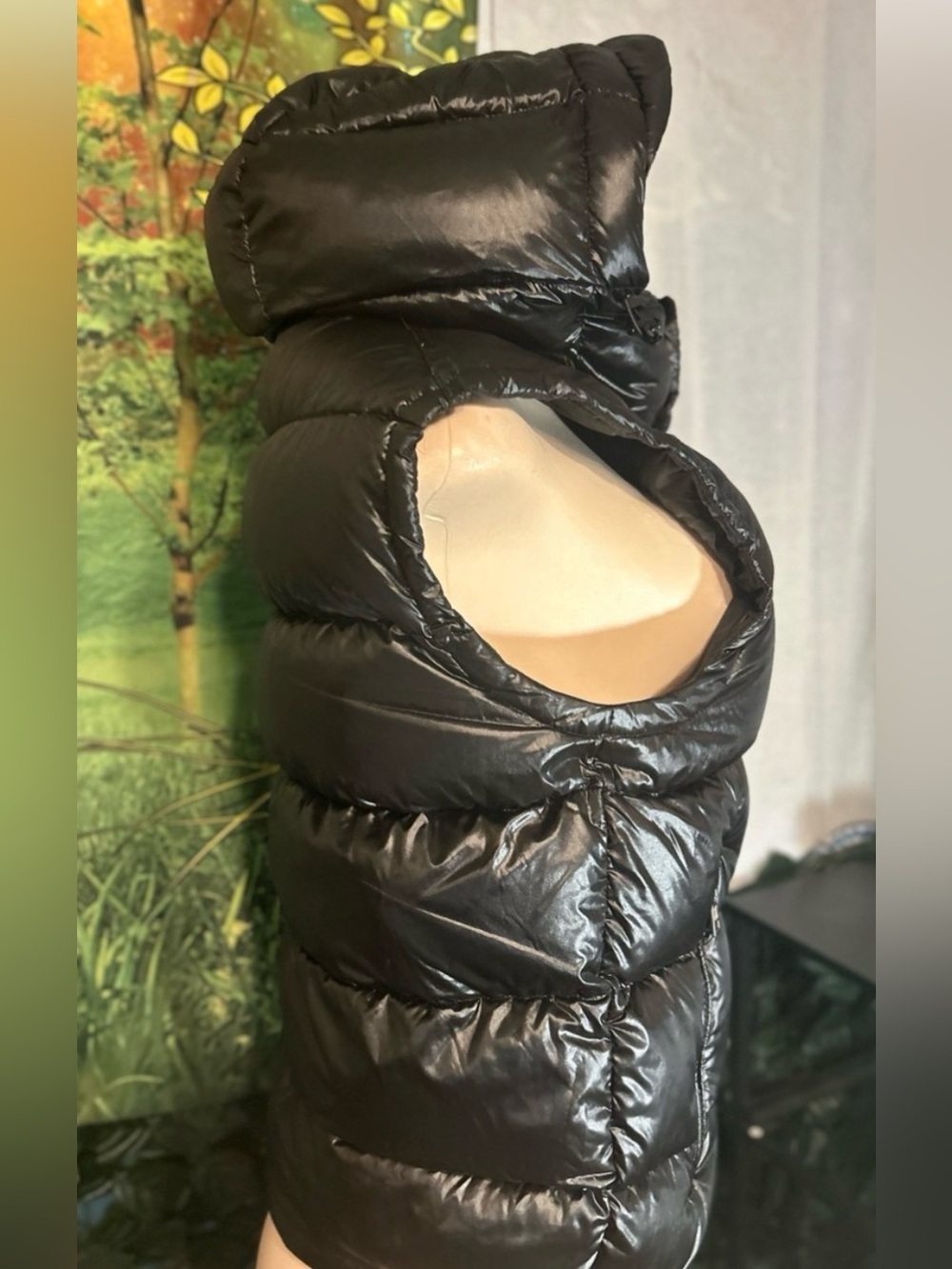 Moncler Bormes Authentic Shiny Black Puffer Hooded Vest | Size: 2 (SOLD) - Picture 4 of 15